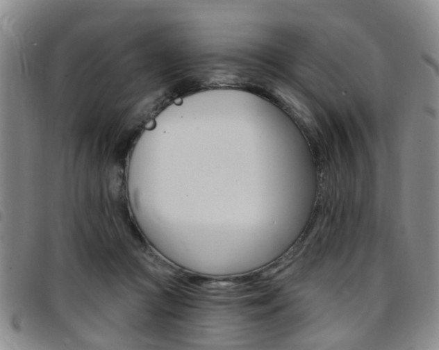 X0000097830361200803140833