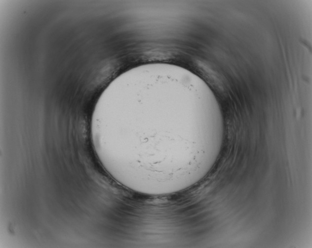 X0000097830362200803140833
