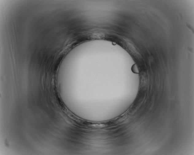 X0000097830363200803140833