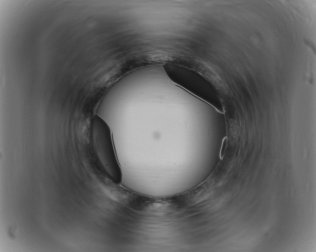 X0000097830364200803140833