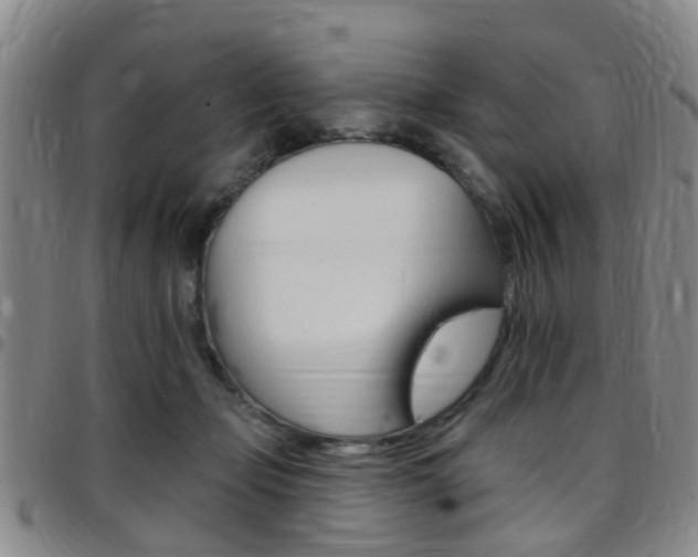 X0000097830365200803140833