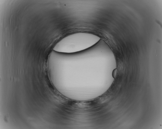 X0000097830367200803140833
