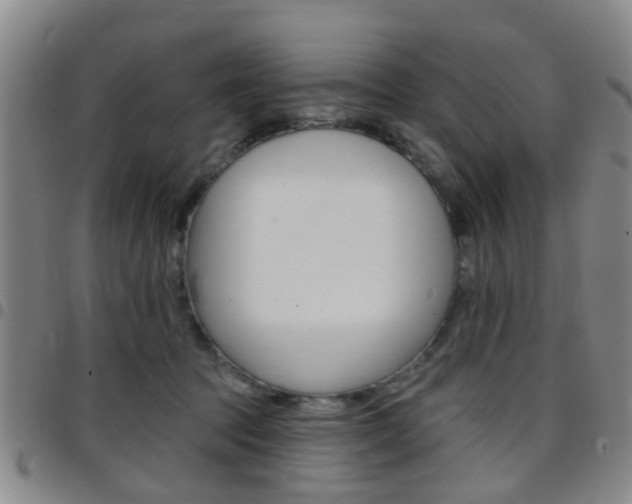 X0000097830369200803140833