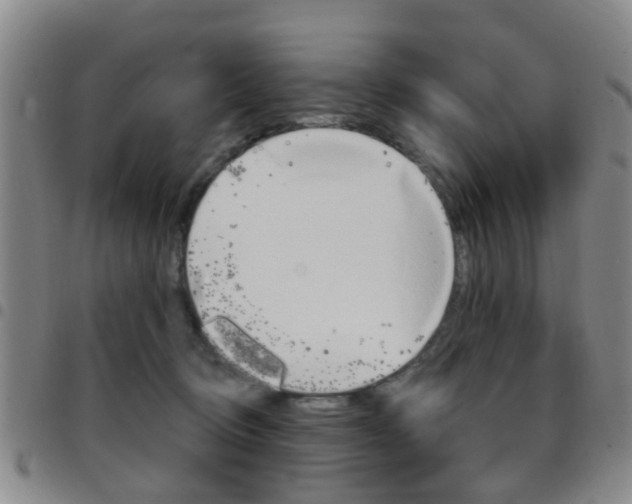 X0000097830370200803140833