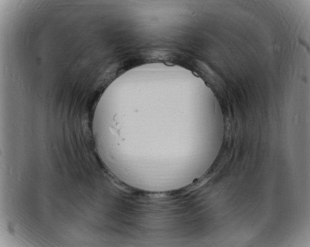 X0000097830377200803140833