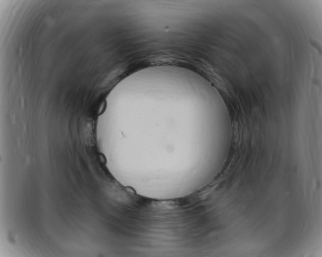 X0000097830378200803140833