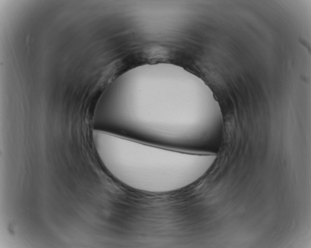 X0000097830379200803140833