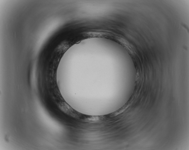 X0000097830381200803140833