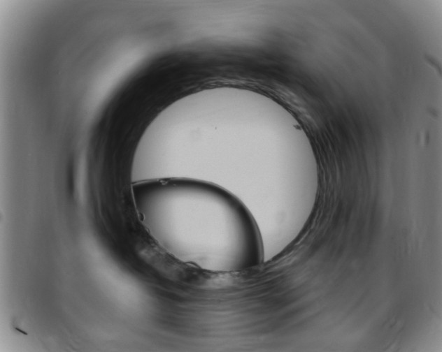 X0000097830382200803140833