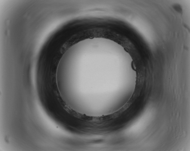X0000097830383200803140833