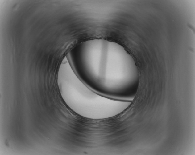 X0000097830384200803140833