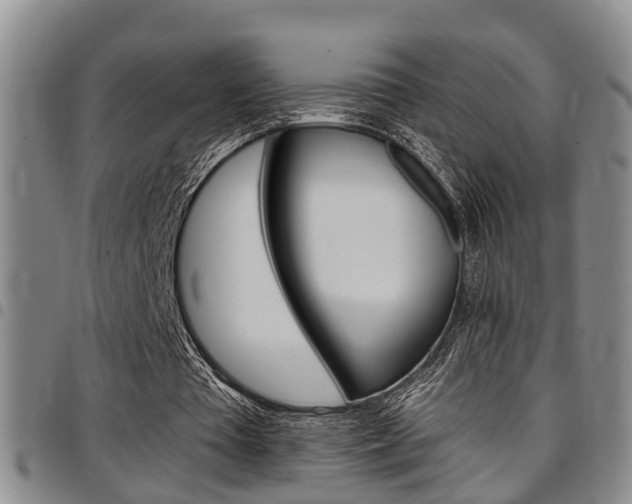 X0000097830385200803140833