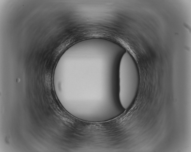X0000097830386200803140833