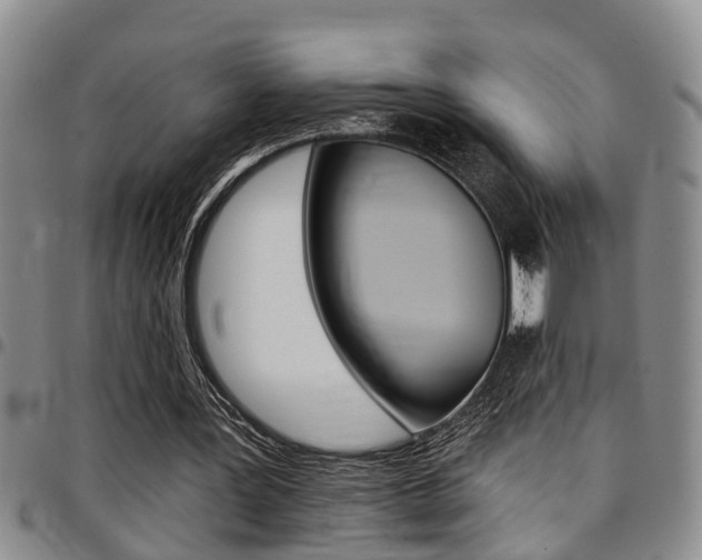 X0000097830387200803140833