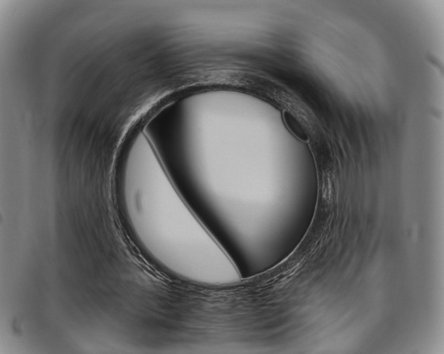X0000097830388200803140833