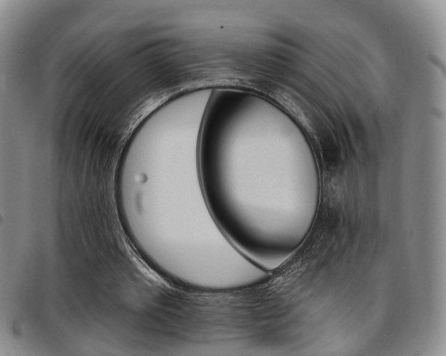 X0000097830389200803140833
