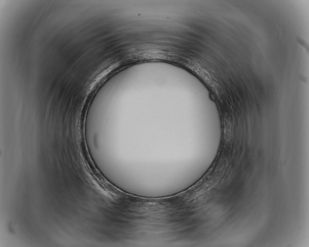 X0000097830390200803140833