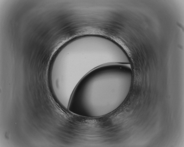 X0000097830391200803140833