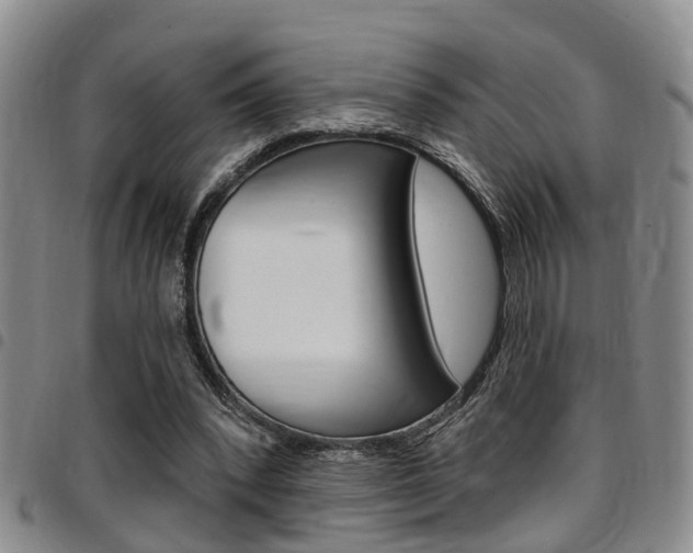 X0000097830392200803140833