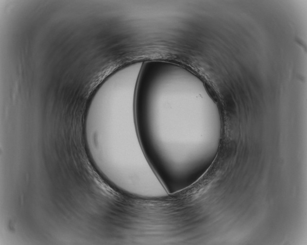 X0000097830393200803140833