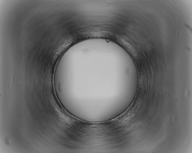 X0000097830394200803140833