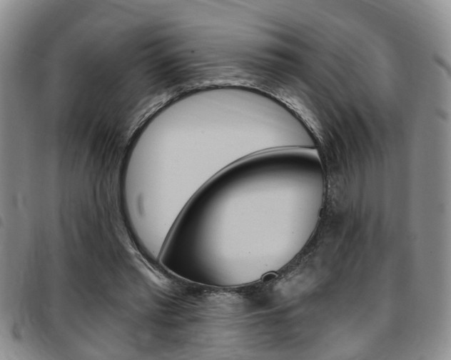 X0000097830397200803140833