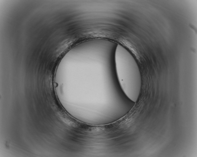X0000097830398200803140833