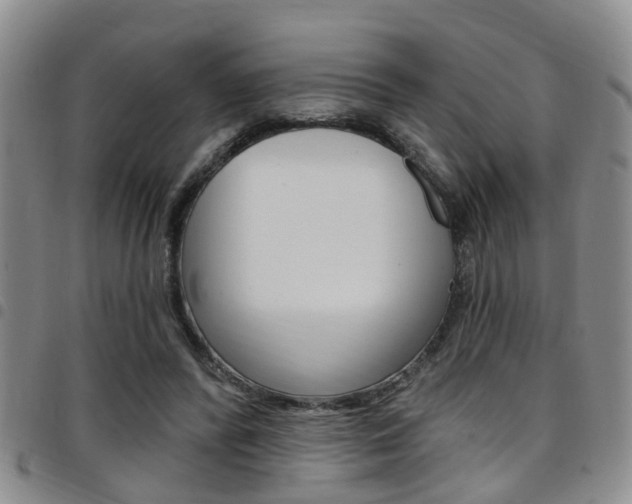 X0000097830400200803140833