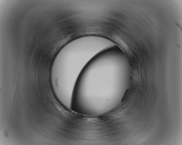 X0000097830401200803140833