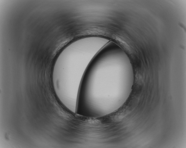 X0000097830403200803140833
