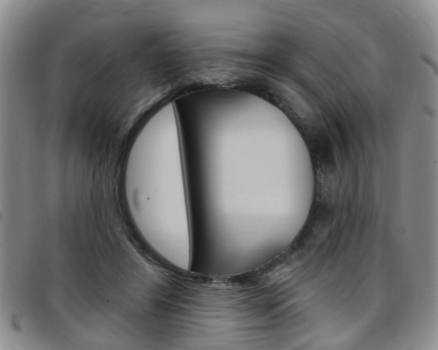 X0000097830404200803140833