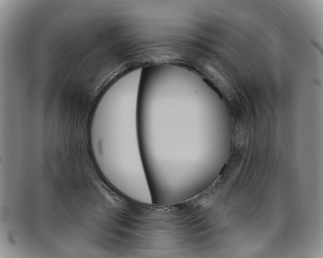 X0000097830405200803140833