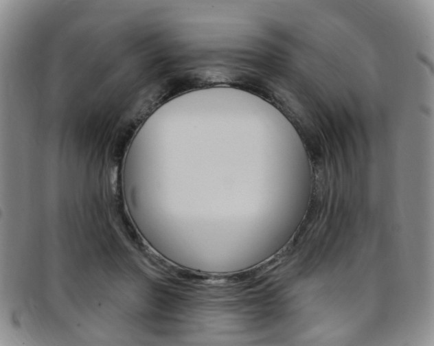 X0000097830406200803140833