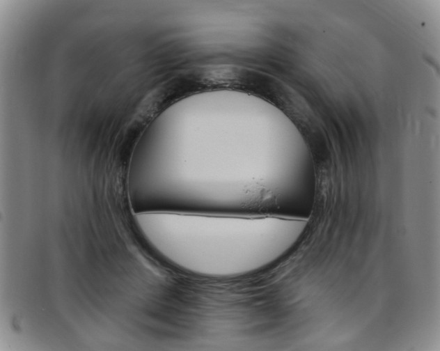 X0000097830408200803140832