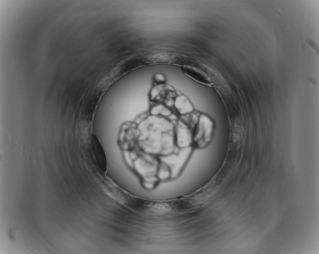 X0000097830409200803140832