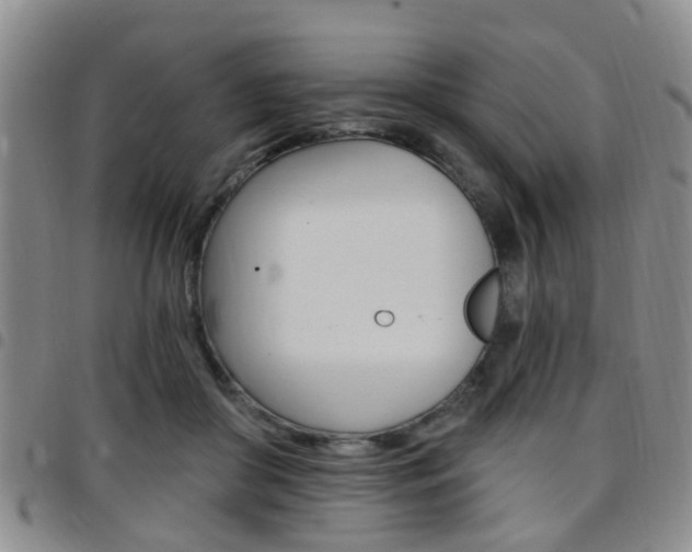 X0000097830410200803140832