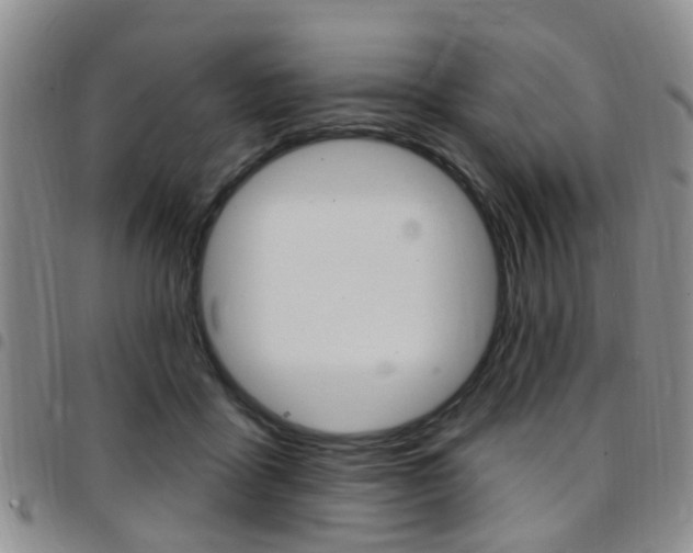 X0000097830411200803140832