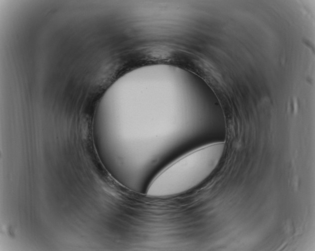 X0000097830412200803140832
