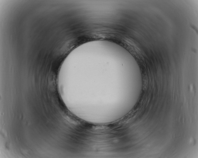X0000097830414200803140832