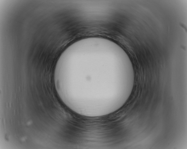 X0000097830415200803140832