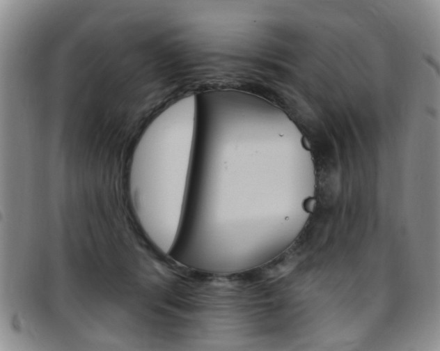 X0000097830416200803140832
