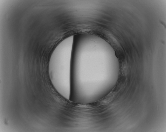 X0000097830417200803140832
