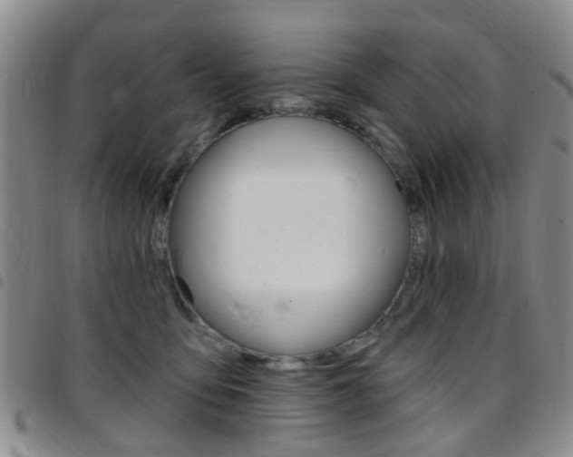 X0000097830419200803140832