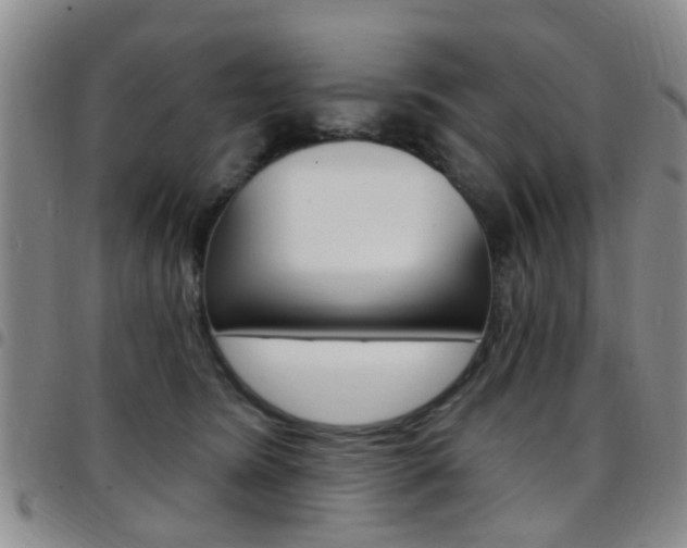 X0000097830420200803140832