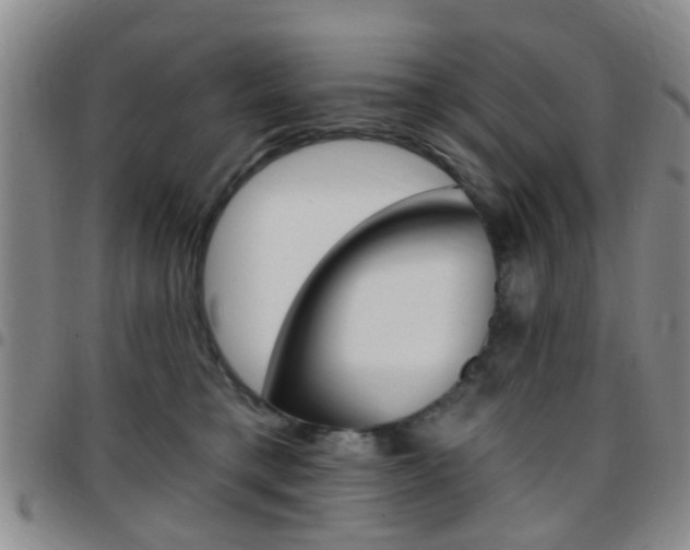 X0000097830421200803140832