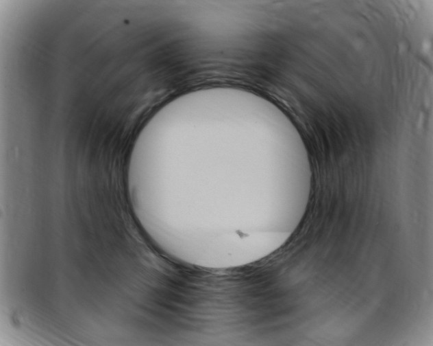 X0000097830423200803140832