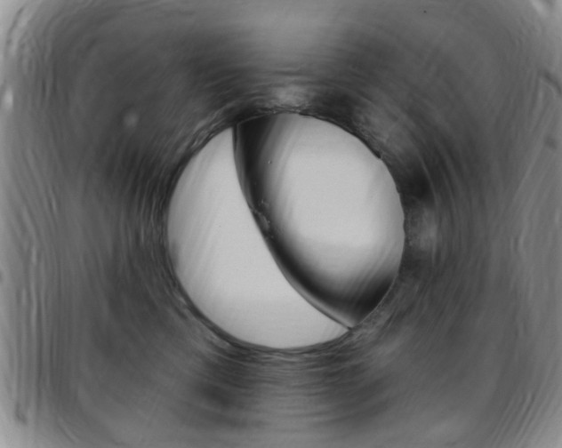 X0000097830425200803140832