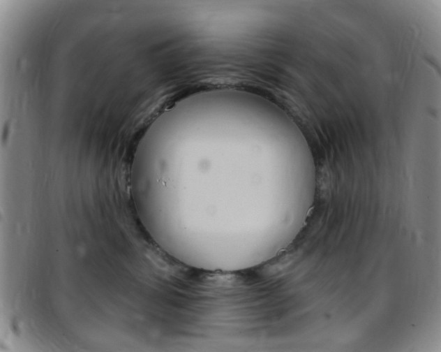 X0000097830428200803140832