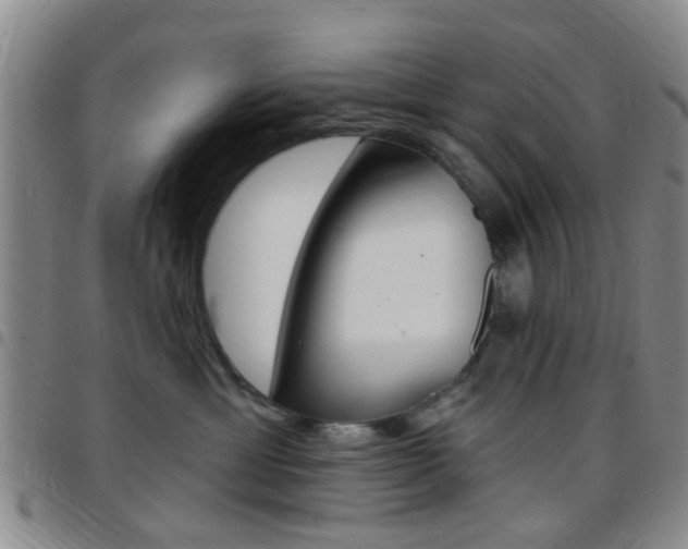 X0000097830429200803140832
