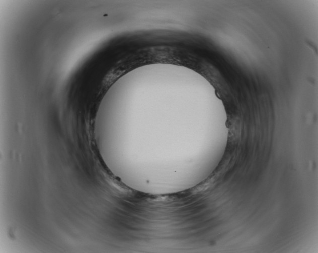X0000097830430200803140832